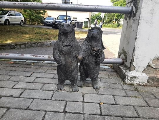 W Chełmie zamieszkają niedźwiedzie