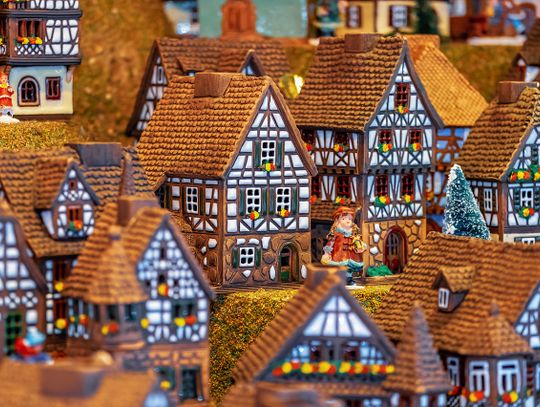 W Niedźwiedzim Grodzie wesoła nowina