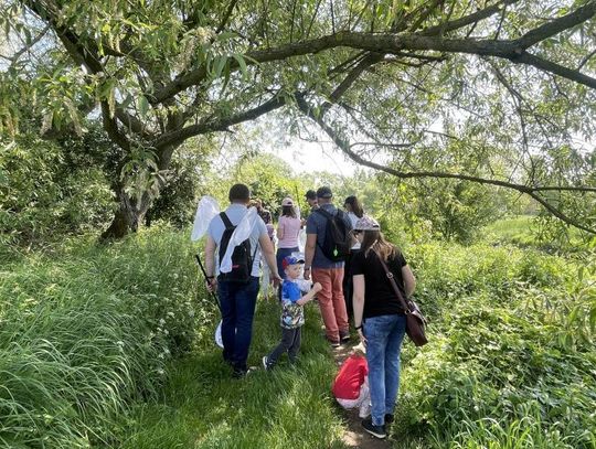 W pogoni za motylami – Cemex i BMLAB: „Poznaj Motyle” chronią cenne gatunki [ZDJĘCIA]