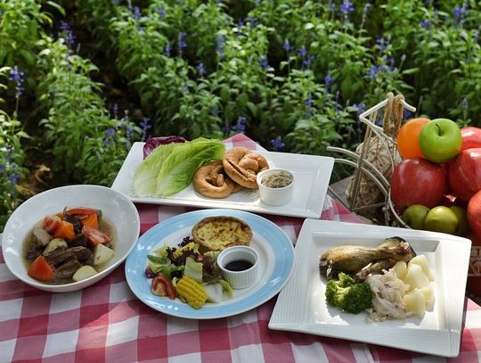 WBS zaprasza na festyn | Super Tydzień