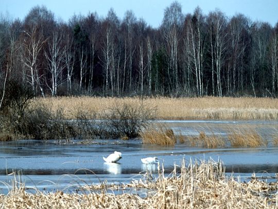 Wicepremier oblał test z geografii