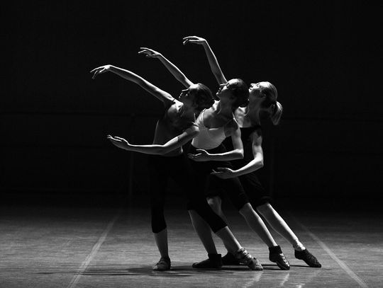 Wiedeńskie tradycje w ChDK