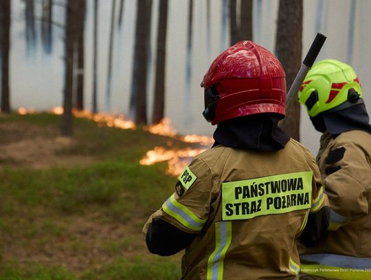 Wielka mobilizacja strażaków – już ponad 30 ratowników z powiatu chełmskiego pojechało do Puszczy Solskiej