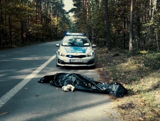 Wielka tragedia i to niejedna. Bo kierowca był pijany... [FILM]