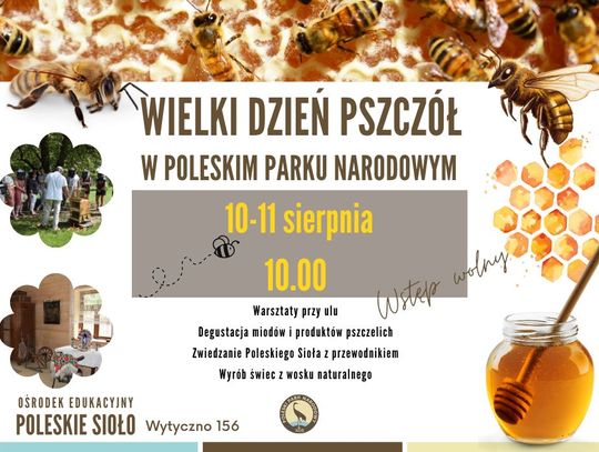 Wielki Dzień Pszczół w Poleskim Parku Narodowym