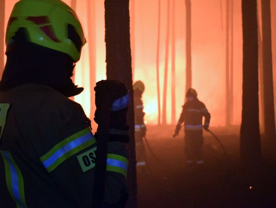 Wielki pożar lasu w powiecie biłgorajskim gaszą też strażacy z Chełma, Krasnegostawu i Włodawy [ZDJĘCIA]