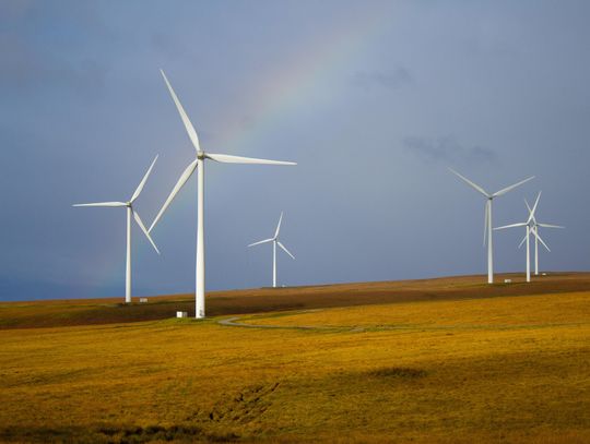 Gmina Wierzbica może w najbliższych latach stać się jednym z ważniejszych ośrodków produkcji energii odnawialnej w regionie. Podczas sesji Rady Gminy, która odbyła się 16 czerwca 2026 roku, radni podjęli uchwałę o przystąpieniu do sporządzenia miejscowego planu zagospodarowania przestrzennego.