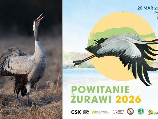 żuraw i plakat wydarzenia