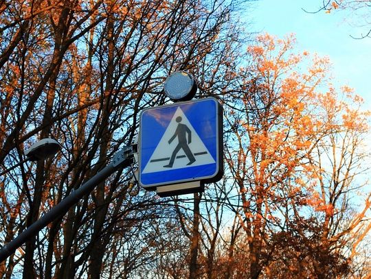 Władze Chełma chcą wybudować aktywne przejścia dla pieszych