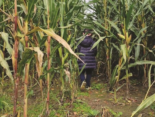 Włodawa: Stan wyjątkowego niepokoju…