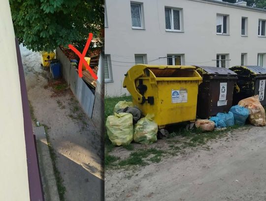 Włodawa. Uciążliwe sąsiedztwo śmietników. Skarżą się na szczury, instekty i odory