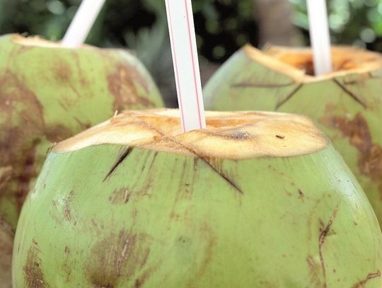 Woda kokosowa – antidotum na stres i skołatane nerwy