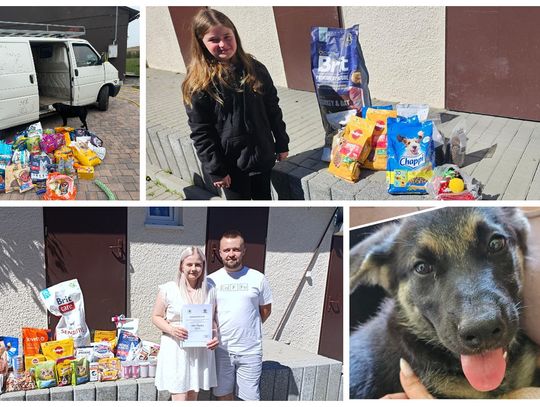 Chełm. Wszystkie ręce na pokład! Zwierzakom ze schroniska pomagają pary młode i dzieci, ty też możesz!