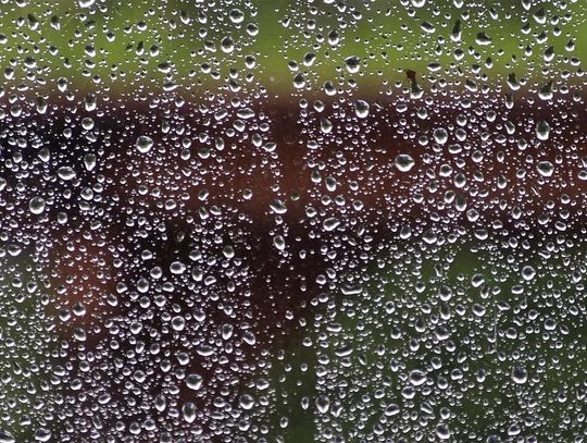 Wybił szybę w autobusie i uciekł