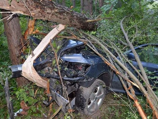 Pijany kierowca skody uderzył w drzewo, 4 osoby w szpitalu