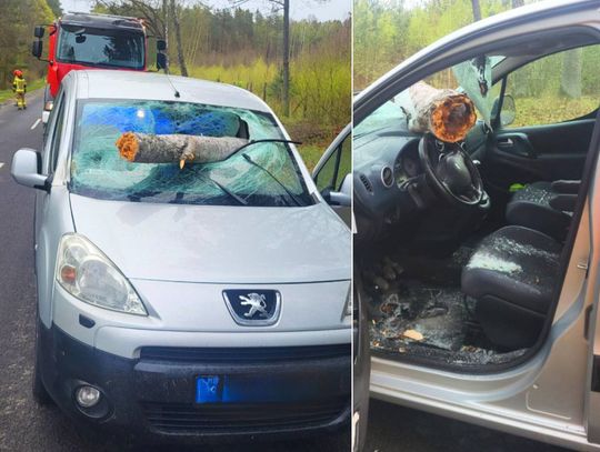 Wypadek w Adampolu. Konar przebił szybę i uderzył kierowcę w klatkę piersiową