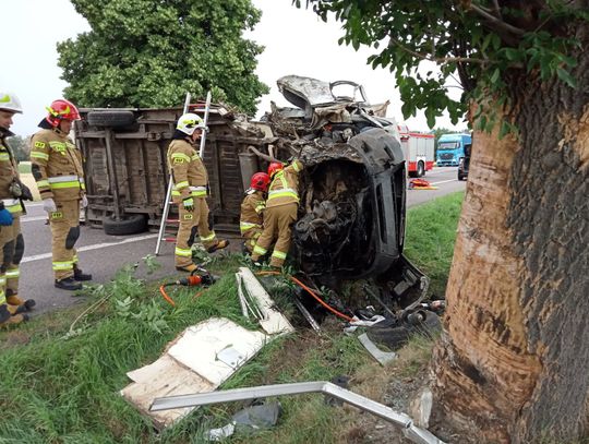 Wypadek w Wólce Orłowskiej. Ciężarówka uderzyła w drzewo [ZDJĘCIA+FILM]