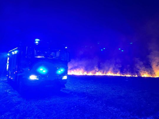 Niebezpieczna wiosenna plaga. W regionie znów płoną trawy [ZDJĘCIA+FILM]