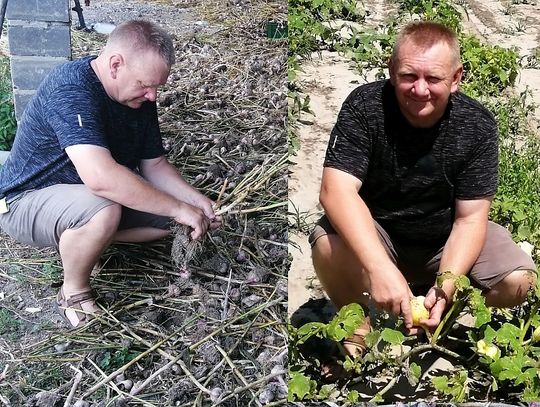 Wyróżniony za produkty ekologiczne