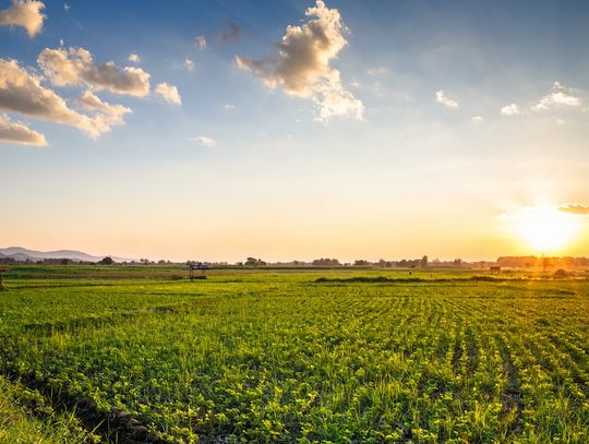 Wzmacnianie konkurencyjności gospodarstw rolnych w ramach Wspólnej Polityki Rolnej