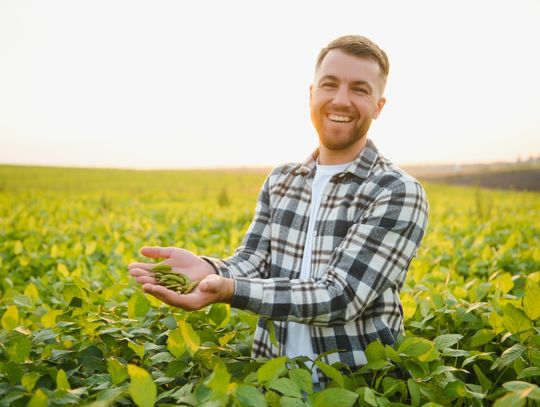 Z miłości do natury, z myślą o zawodzie. Poznaj studia podyplomowe z zielarstwa, fitoterapii oraz rolnictwa