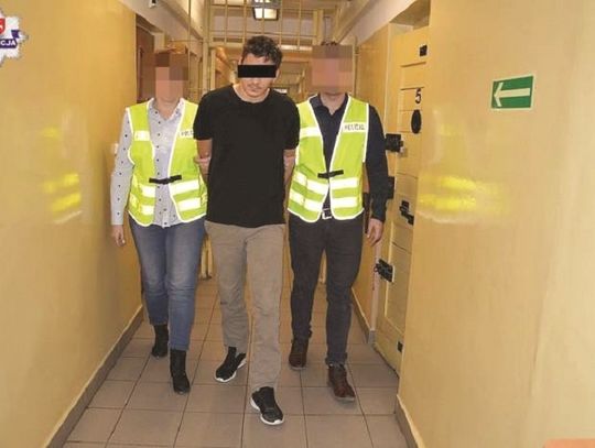 Za kratki za katowanie zwierzaków