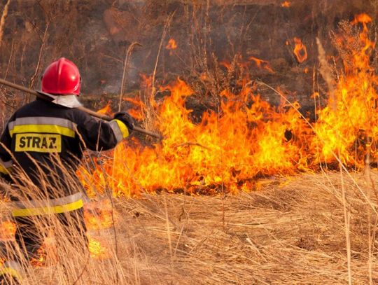 Zaczęło się wypalanie traw. Nie odstraszają nawet wysokie kary do 30 tys. złotych