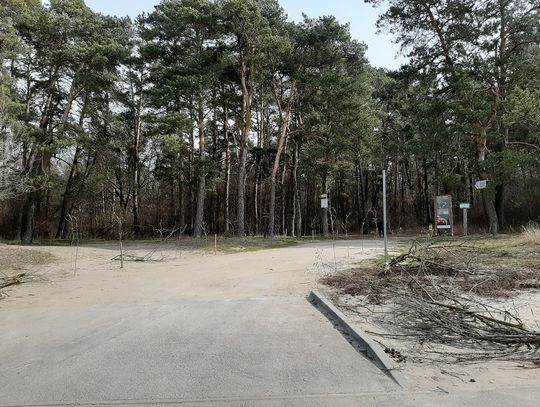 Zakaz wstępu do lasów