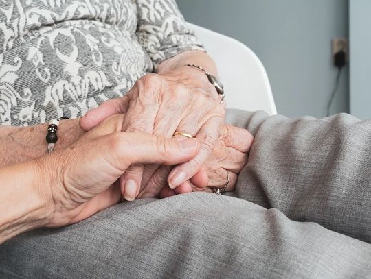 Zamiast kupować chryzantemy, wpłać datek