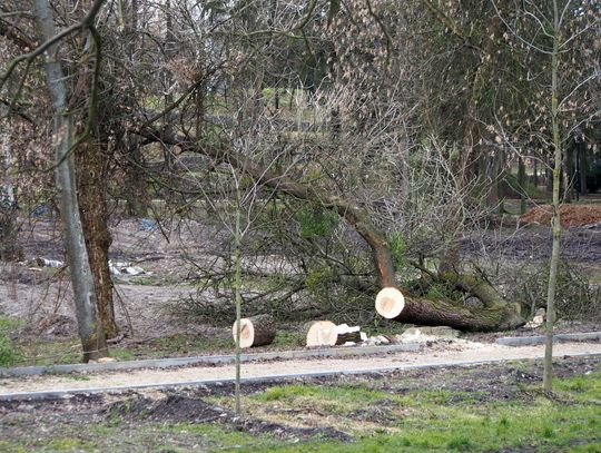 Chełm. Zamieszania z rewitalizacją Parku Miejskiego ciąg dalszy...