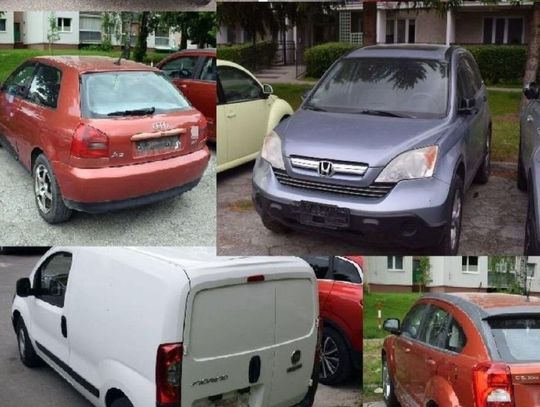 Kradł tablice rejestracyjne... bo chciał nagrać filmik. Plan "zepsuli" mu policjanci