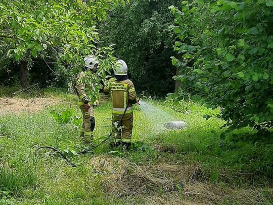 Zapaliła się butla z gazem. Trzeba było ją schłodzić