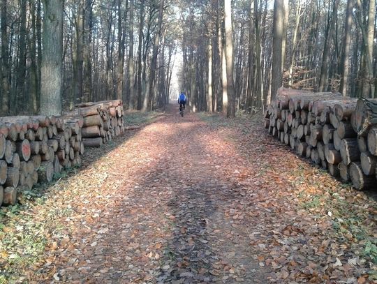 Zbierają pieniądze na oznakowanie trasy