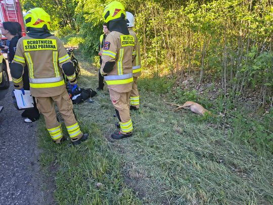 Zderzenia z sarnami w powiecie włodawskim. Ranny motocyklista trafił do szpitala [ZDJĘCIA]