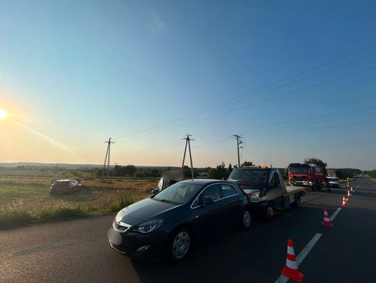 Zderzenie trzech samochodów w Izbicy po wtargnięciu sarny na jezdnię
