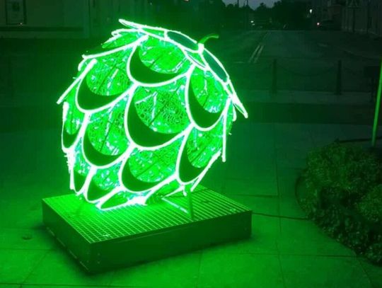 Zielona szyszka rozświetla Krasnystaw