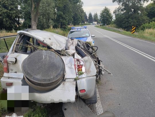 Zjechał z drogi, dachował i uderzył w drzewo. Był pijany