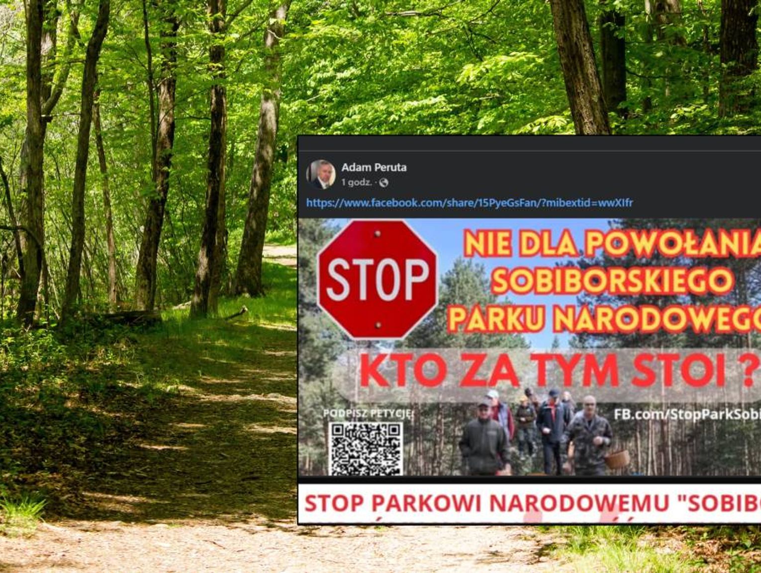 Będzie referendum w sprawie powstania Sobiborskiego Parku Narodowego? Działacz społeczny inicjuje protest