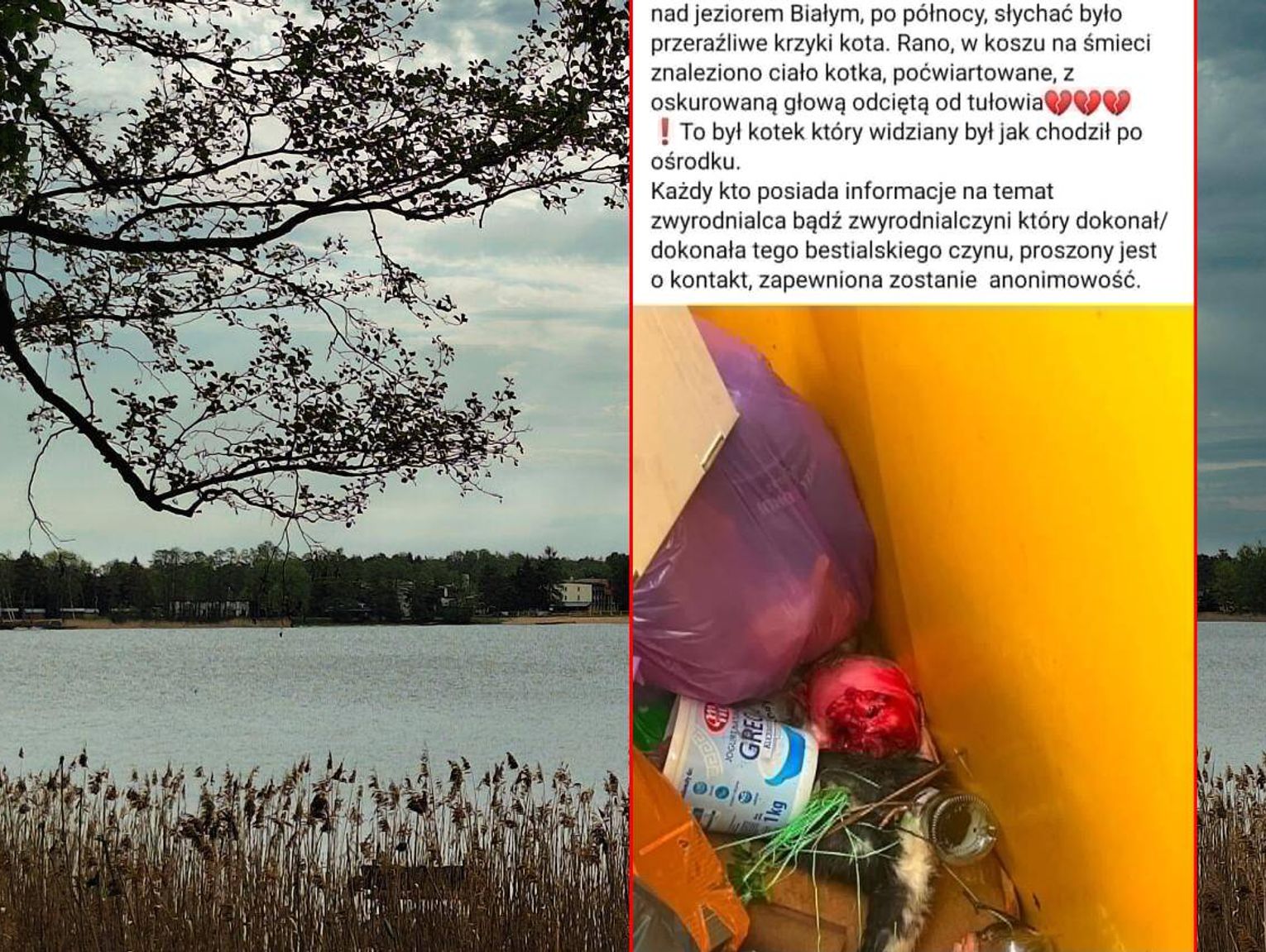 Bestialski mord na zwierzęciu w Okunince. Szukają świadków i sprawcy okrutnego czynu