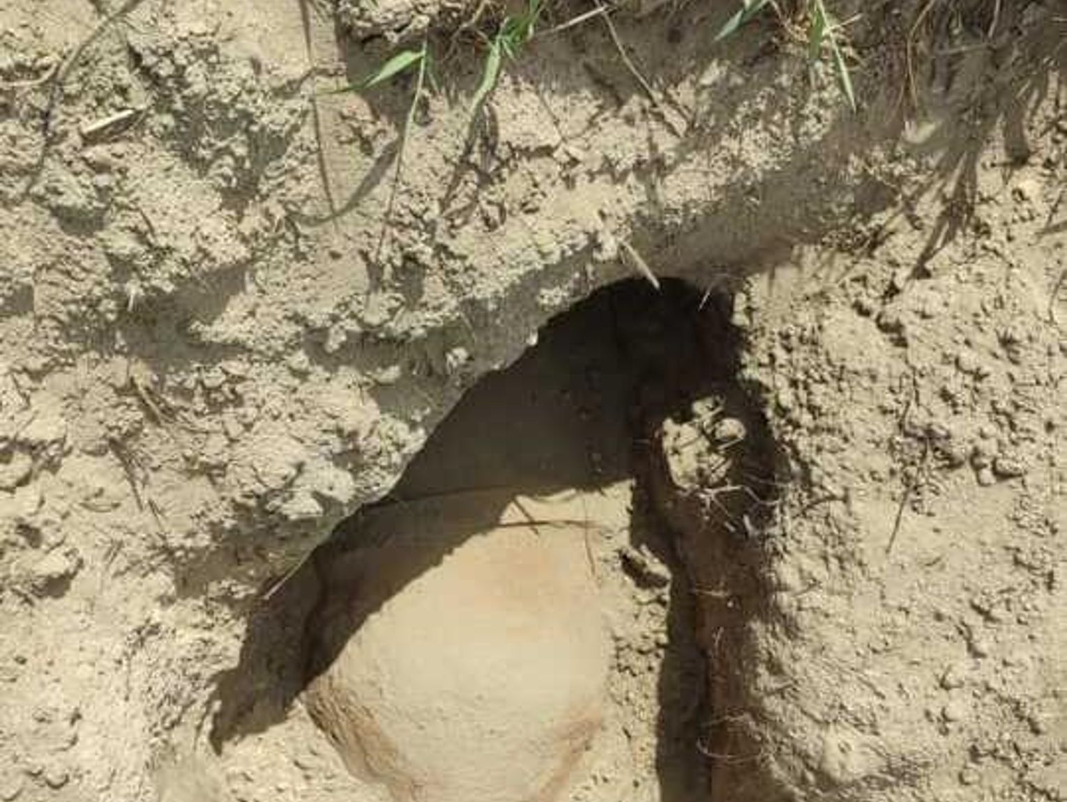 Bomba lotnicza na polu w Dołhobrodach przy drodze wojewódzkiej. Saperzy w akcji