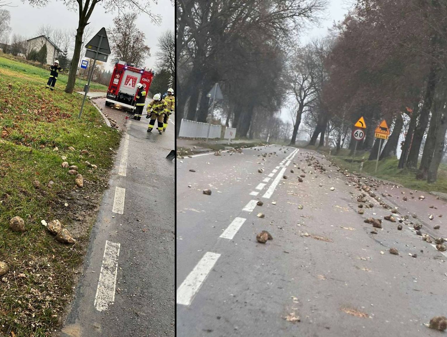 Buraki cukrowe zablokowały drogę wojewódzką w Borówku. Akcja straży pożarnej!