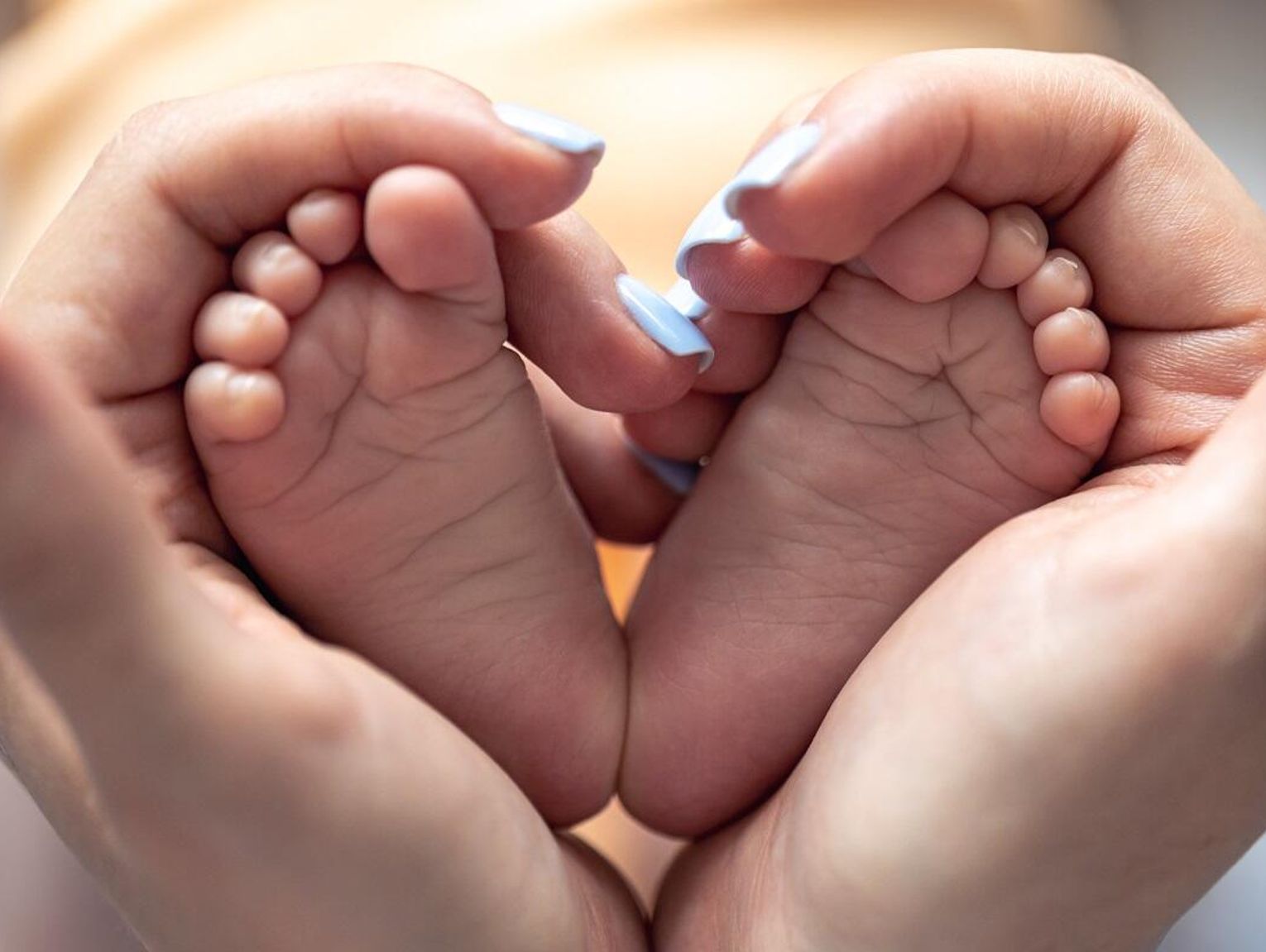 Czy bociany w Krasnymstawie mają mniej pracy? Demografia 2025