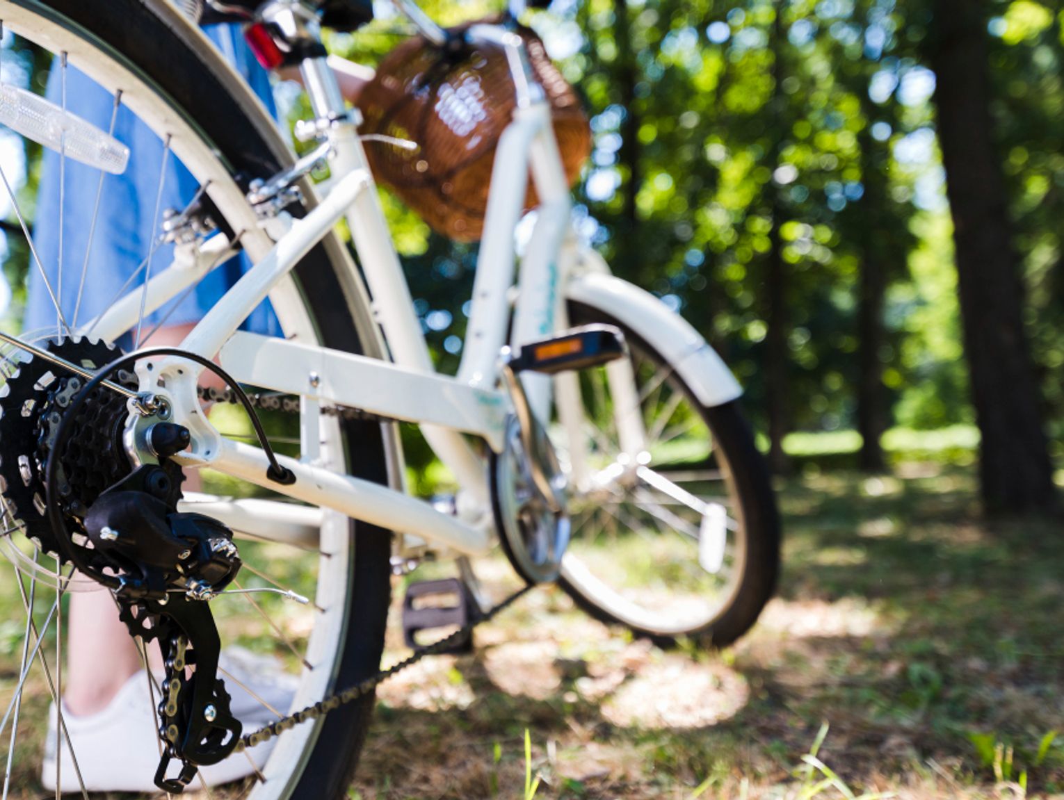 Gm. Chełm. Chcą pomóc województwu i rowerzystom. Teraz projekt, a w przyszłości budowa