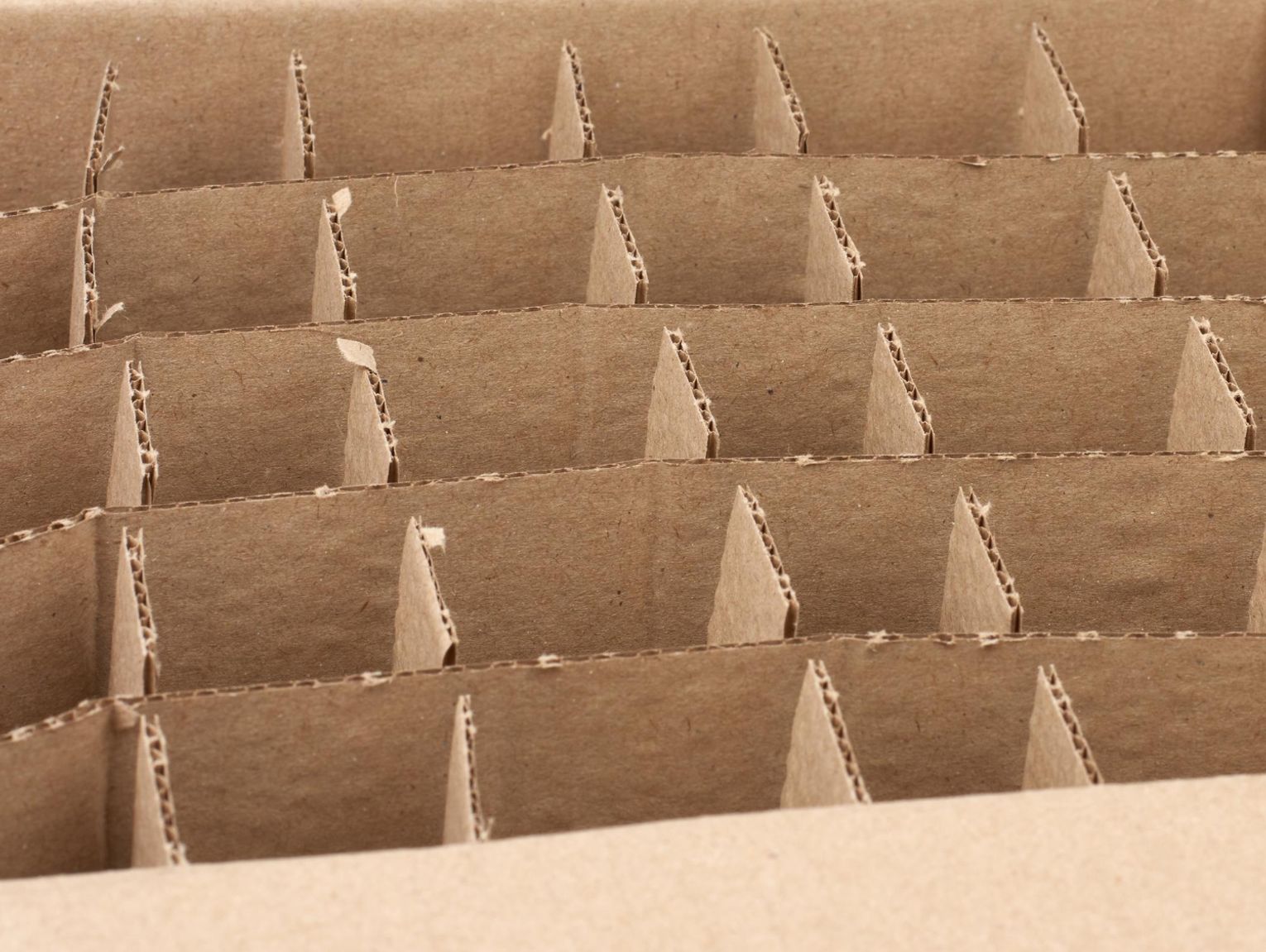 Gm. Dorohusk. Mondi w Brzeźnie kończy działalność? Pracę stracić może 166 osób