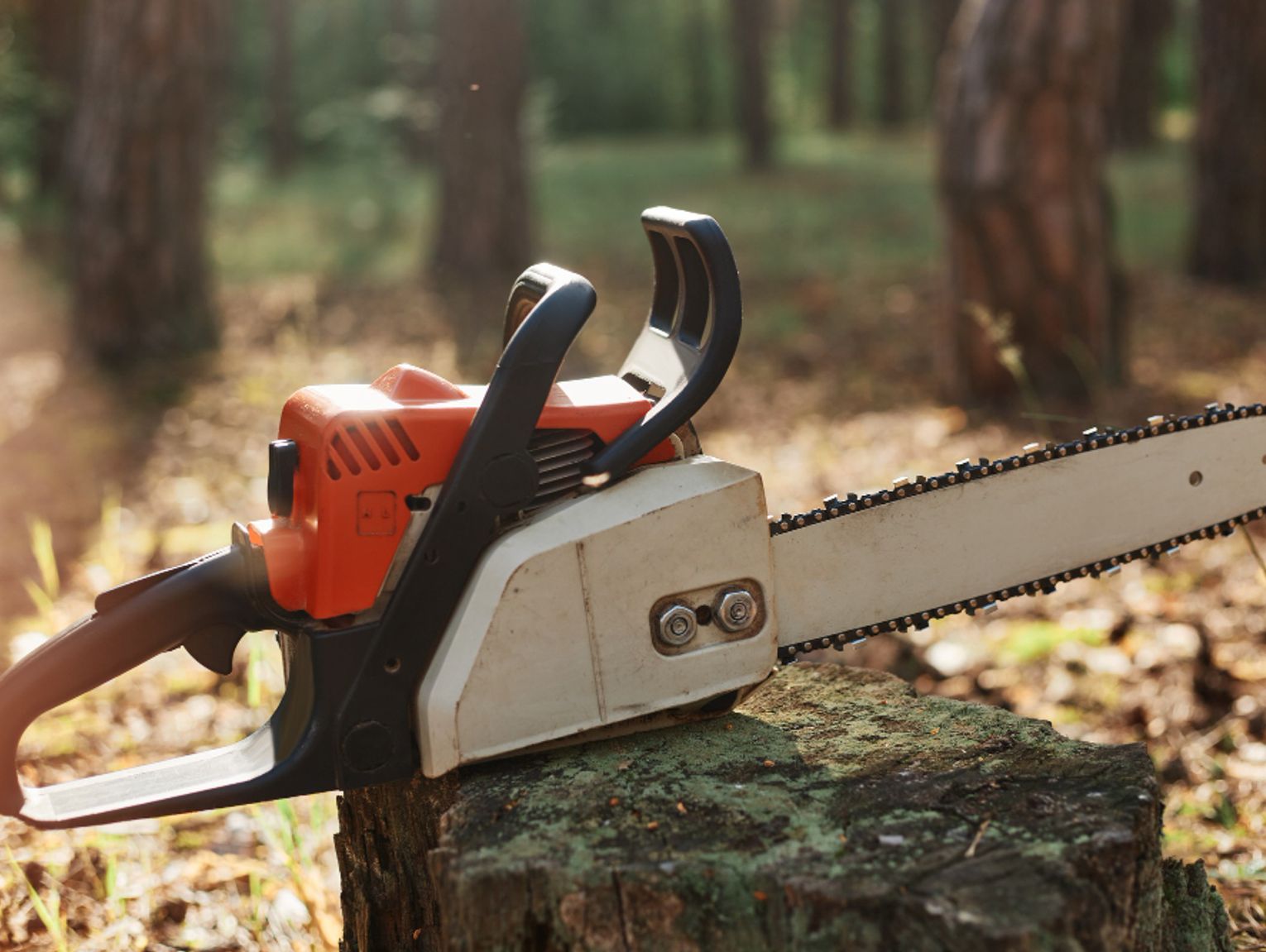 Gm. Dorohusk. Zamieście pod lupą radnej. O interwencję zwróciła się do starosty chełmskiego