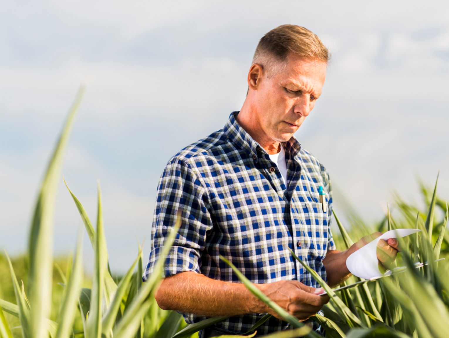 Gm. Dubienka. Właściciele gruntów rolnych zapłacą niższy podatek. To zła wiadomość dla władz gminy