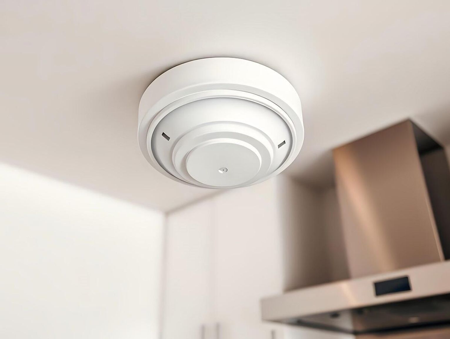 Gm. Fajsławice. Domy pod ochroną – nowe czujniki zamontowane