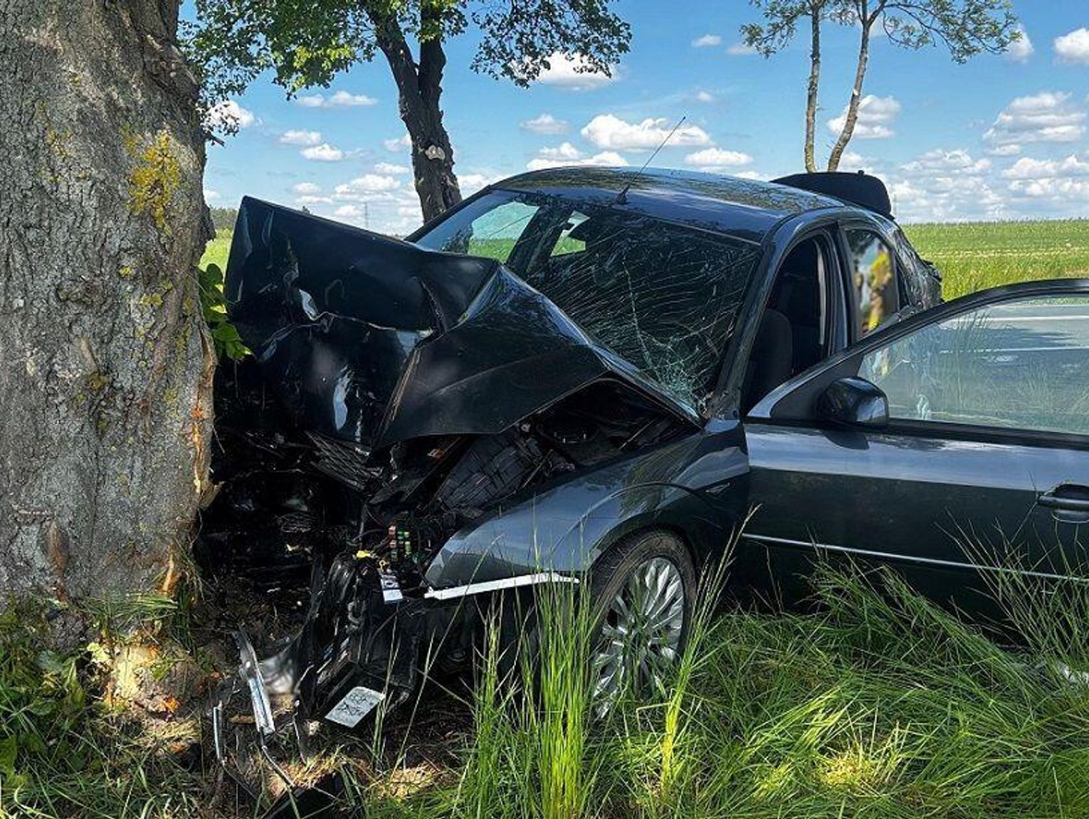 Nastolatek z impetem wjechał w drzewo