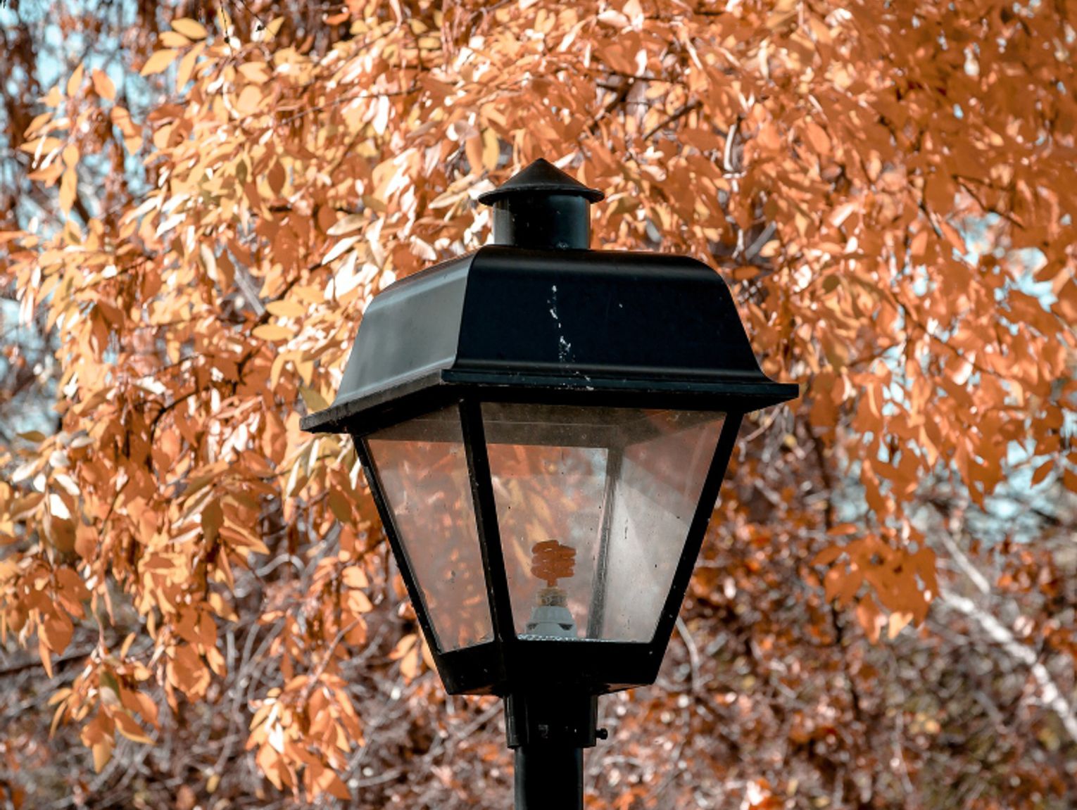 Gm. Siedliszcze. Miło będzie odwiedzić taki park. Przygotowali dla mieszkańców kilka niespodzianek