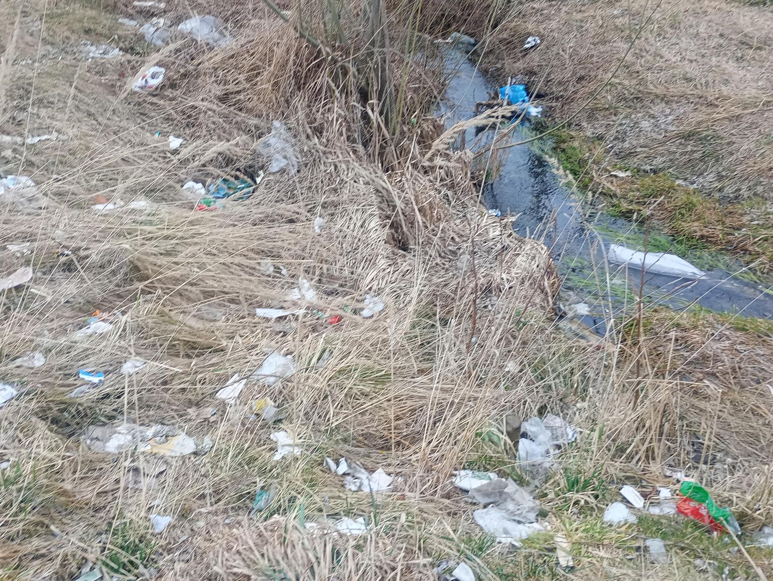 Gm. Wojsławice. Kto jest beztroskim śmieciarzem? Mieszkańcy alarmują w sprawie otoczenia sklepu i gminnego targowiska